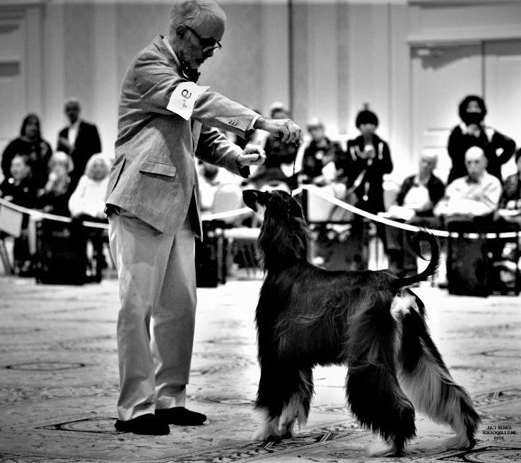 The Gossip Column, May 28, 2021